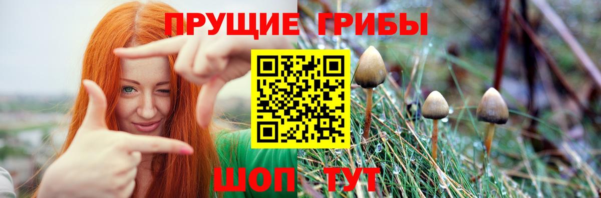 Феодосия  что такое наркотик  Вход с VPN  Галлюциногенные грибы мухоморы  Псилоцибиновые грибы Cubensis 
